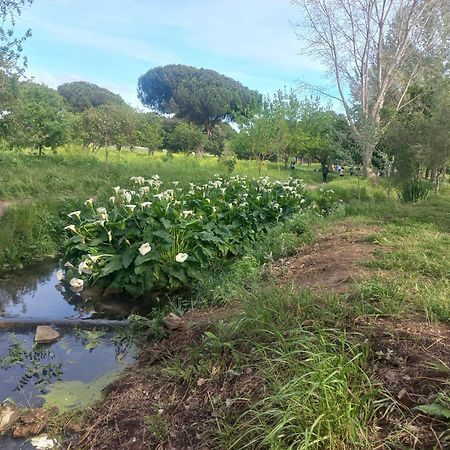 شقة A Casa Di Mori روما المظهر الخارجي الصورة
